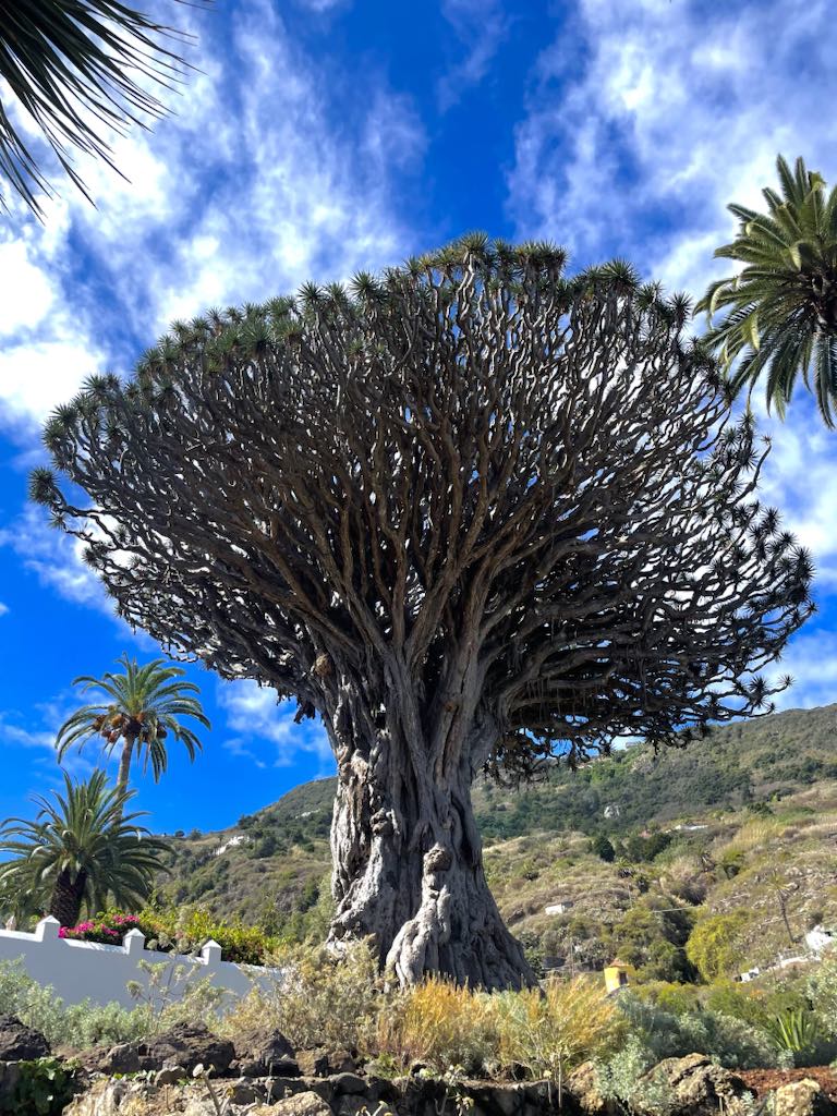 C740fb1b 32b6 46e7 b175 9da9aa1279fe